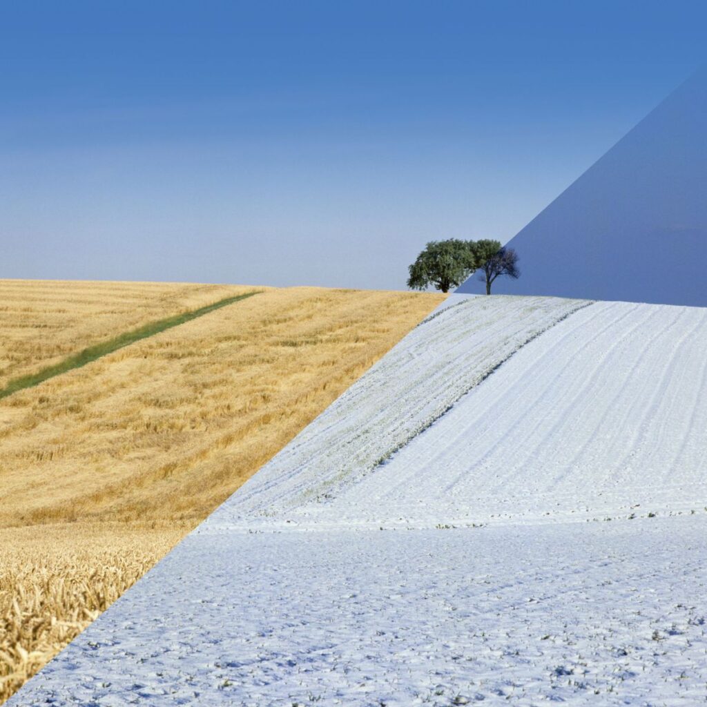 🔧 1. Wynajem długoterminowy vs leasing wynajem długoterminowy a leasing 2025 leasing operacyjny Żywiec wynajem długoterminowy dla firm Żywiec samochód służbowy wynajem Żywiec auto na abonament Żywiec auto na abonament DensCar auto na abonament Bielsko wynajem samochodu osobowego na długi termin Żywiec wynajem auta z OC sprawcy DensCar wynajem auta z OC sprawcy Bielsko 🚗 2. Wynajem samochodów osobowych – lokalizacje Żywiec: wynajem samochodu Żywiec wynajem auta Żywiec samochody do wynajęcia Żywiec wypożyczalnia samochodów Żywiec DensCar Żywiec wynajem aut wypożyczalnia samochodów osobowych i busów Żywiec wynajem samochodów osobowych ul. Folwark Żywiec auto na weekend Żywiec komfortowy samochód na wynajem DensCar Żywiec wynajem auta z pełnym ubezpieczeniem Żywiec auto zastępcze z OC sprawcy Żywiec Bielsko-Biała i okolice: wynajem samochodu Bielsko-Biała wypożyczalnia samochodów Bielsko-Biała auto osobowe z pełnym ubezpieczeniem Bielsko wypożyczalnia samochodów Czechowice-Dziedzice wypożyczalnia samochodów Skoczów wypożyczalnia aut Kęty wypożyczalnia aut osobowych Szczyrk Tychy: wynajem samochodów osobowych Tychy wypożyczalnia aut osobowych Tychy auto na ślub Tychy auto na weekend Tychy wynajem auta z fotelikiem dziecięcym Tychy 🚌 3. Wynajem busów i aut dostawczych Żywiec: wynajem busów Żywiec wynajem busa 9 osobowego Żywiec busy do wynajęcia DensCar Żywiec bus na wakacje do wynajęcia Żywiec komfortowe busy do wynajęcia Żywiec bus do Niemiec wynajem Żywiec Bielsko-Biała: wypożyczalnia busów Bielsko-Biała bus 9-osobowy bez limitu km Bielsko tani wynajem busa 9 osobowego Bielsko bus na wesele Bielsko bus na wycieczkę Bielsko bus 9 osobowy Bielsko-Biała i okolice Tychy: wypożyczalnia busów Tychy wynajem busów 9-osobowych Tychy wypożyczalnia busów na transport gości Tychy bus z kierowcą Tychy 🌍 4. Dodatkowe lokalizacje i frazy long-tail wynajem aut Wadowice auto na ślub Wadowice wynajem auta na święta Bielsko auto na wakacje Bielsko wypożyczalnia aut Bojszowy / Lędziny / Żory / Pszczyna / Orzesze / Bieruń / Kobiór wynajem auta na lotnisko Katowice Pyrzowice wypożyczalnia samochodów z odbiorem z hotelu Tychy 💼 5. Oferty i funkcje usługowe (usp i faq) wynajem samochodu bez kaucji Żywiec / Bielsko / Tychy darmowe anulowanie do 48h podstawienie auta pod dom Bielsko / Tychy / Żywiec odbiór auta z lotniska Katowice wynajem auta bez karty kredytowej auto z pełnym ubezpieczeniem auto bez limitu kilometrów wynajem auta z nawigacją i fotelikiem dziecięcym auto zastępcze z OC sprawcy rezerwacja auta online auto od ręki auto na dziś tanie auto od 99 zł/dzień wynajem auta dostawczego na przeprowadzkę 📝 6. SEO – content marketing / blog / optymalizacja różnice między autem osobowym a busem jak wynająć auto bez kaucji co zabrać na wycieczkę busem najlepsze trasy weekendowe z Bielska-Białej ubezpieczenie najmu – co warto wiedzieć instrukcja rezerwacji auta online schema FAQ: „Czy mogę wynająć auto bez kaucji?”, „Ile kosztuje wynajem busa?”, „Jak zarezerwować auto z OC sprawcy?” opisy floty z danymi technicznymi cennik – sekcja SEO: „Wynajem aut osobowych Bielsko-Biała | Cennik” wynajem długoterminowy Żywiec DensCar wynajem samochodu leasing operacyjny Żywiec auto na abonament DensCarwynajem samochodów Żywiec wypożyczalnia samochodów Żywiec DensCar Żywiec wynajem auta Żywiec samochody do wynajęcia Żywiec wynajem długoterminowy Żywiec wynajem krótkoterminowy samochodów Żywiec wypożyczalnia aut osobowych Żywiec wynajem busów Żywiec wynajem busa 9 osobowego Żywiec wynajem samochodu bez kaucji Żywiec auto na abonament Żywiec DensCar wypożyczalnia samochodów osobowych i busów wynajem samochodów osobowych ul. Folwark Żywiec busy do wynajęcia DensCar Żywiecile kosztuje wynajem busa w Żywcu samochód do ślubu wynajem Żywiec wynajem auta na weekend Żywiec najtańszy wynajem samochodu w Żywcu wynajem samochodu osobowego na długi termin Żywiec bus na wakacje do wynajęcia Żywiec komfortowy samochód na wynajem DensCar Żywiec wynajem auta z pełnym ubezpieczeniem Żywiec wynajem samochodu bez limitu kilometrów Żywiec wypożyczalnia samochodów dla firm Żywiec auto zastępcze z OC sprawcy Żywiec DensCarDensCar wynajem samochodów osobowych i busów DensCar wypożyczalnia samochodów Żywiec DensCar Folwark 21 Żywiec DensCar wynajem busów 9-osobowych DensCar samochody osobowe wynajem DensCar wynajem aut z OC sprawcywypożyczalnia aut osobowych Żywiec wynajem auta na weekend DensCar auto na wakacje Żywiec tani wynajem samochodu osobowegosamochód służbowy wynajem Żywiec wynajem samochodu dla firmy DensCar wynajem długoterminowy dla firm Żywiec flota aut na wynajem Żywiecwynajem busów osobowych Żywiec bus 9-osobowy na wynajem Żywiec bus do Niemiec wynajem Żywiec komfortowe busy do wynajęcia„Wynajem samochodów osobowych i busów w Żywcu – DensCar ul. Folwark 21” „Nowe samochody na wynajem – bez kaucji, bez stresu” „Bus na wynajem w Żywcu? Tylko w DensCar – sprawdź dostępność!” „DensCar – lokalna wypożyczalnia aut osobowych i dostawczych” wypożyczalnia samochodów Bielsko-Biała wynajem aut Bielsko-Biała wypożyczalnia busów Bielsko-Biała wypożyczalnia aut osobowych Bielsko tani wynajem samochodów Bielsko wynajem busów osobowych Bielsko-Biała wypożyczalnia aut Bielsko auto na wynajem Bielsko-Biała wynajem samochodu Bielsko-Biała samochód na wynajem Bielsko wynajem auta Bielsko-Biała centrum wypożyczalnia samochodów lotnisko Katowice bus 9 osobowy Bielsko-Biała wynajem auto na weekend Bielsko-Biała samochód osobowy wynajem Bielsko wynajem auta z kierowcą Bielsko-Biała wypożyczalnia aut dostawczych Bielsko wypożyczalnia samochodów Czechowice-Dziedzice wypożyczalnia aut Żywiec i Bielsko wypożyczalnia busów Szczyrk gdzie wynająć auto w Bielsku-Białej tani wynajem busa 9 osobowego Bielsko-Biała samochód na wynajem bez kaucji Bielsko auto dostawcze na wynajem Bielsko wypożyczenie auta na weekend Bielsko-Biała auto zastępcze z OC sprawcy Bielsko wynajem busa na wesele Bielsko wynajem auta na święta Bielsko-Biała auto na wakacje Bielsko wynajem bus na wycieczkę Bielsko i okolice zarezerwuj samochód Bielsko-Biała zamów bus 9 osobowy Bielsko tani wynajem auta już od 100 zł / doba rezerwacja auta online Bielsko samochód na dziś Bielsko-Biała bus 9 osobowy bez limitu km Bielsko auto osobowe z pełnym ubezpieczeniem Bielsko wypożyczalnia samochodów z obsługą 24/7 Bielsko szybka rezerwacja samochodu osobowego wynajem samochodu bez karty kredytowej Bielsko W tytułach podstron: np. „Wynajem aut osobowych Bielsko-Biała | Cennik” W nagłówkach H1, H2: np. „Tani wynajem busów 9-osobowych w Bielsku” W meta tagach: np. meta description: „Sprawdź tani wynajem aut i busów osobowych w Bielsku-Białej. Samochody osobowe, dostawcze i busy 9-osobowe – zarezerwuj już dziś!” W opisach floty: każdy pojazd z dedykowanym opisem SEO W wpisach blogowych: frazy long-tail naturalnie wplecione w poradniki schema FAQ wynajem aut instrukcja rezerwacji online wynajem auta dostawczego – cennik opis floty z danymi technicznymi optymalizacja strony wypożyczalni – SEO najlepsze trasy weekendowe samochodem jak wynająć auto bez kaucji co zabrać na wycieczkę busem różnice między autem osobowym a busem na co zwrócić uwagę przy ubezpieczeniu najmu podstawienie auta pod dom odbiór samochodu na lotnisku darmowe anulowanie do 48 h auto bez limitu kilometrów wypożyczenie busa dla firmy wynajem auta z fotelikiem dziecięcym zarezerwuj auto online wynajem auta od ręki auto na dziś – wynajem tanie auto od 99 zł/dzień rezerwacja busa online wypożyczenie auta bez karty kredytowej wynajem auta z pełnym ubezpieczeniem wynajem auta na ślub bez kierowcy bus 9‑osobowy na wycieczkę wynajem auta dostawczego na przeprowadzkę auto zastępcze z OC wynajem samochodu bez kaucji auto rodzinne na wakacje bus z kierowcą odbiór auta pod wskazany adres auto na lotnisko wynajem auta z nawigacją i fotelikiem dziecięcym wypożyczalnia samochodów wynajem aut osobowych wypożyczalnia busów tani wynajem samochodów wynajem busów 9‑osobowych najlepsze trasy weekendowe z Bielska‑Białej jak wynająć auto bez kaucji w Bielsku co zabrać na wycieczkę busem 9-osobowym różnice między wynajmem auta osobowego a busa ubezpieczenie w wynajmie – co warto wiedzieć podstawienie auta pod dom Bielsko‑Biała odbiór samochodu na lotnisku Katowice Pyrzowice darmowe anulowanie do 48 h przed odbiorem wynajem auta z nawigacją i fotelikiem dziecięcym auto bez limitu kilometrów Bielsko‑Biała wypożyczenie busa z dłuższym okresem dla firm zarezerwuj auto Bielsko‑Biała online wynajem auta od ręki Bielsko auto na dziś Bielsko‑Biała tanie auto od 99 zł/dzień Bielsko rezerwacja busa 9-osobowego online wypożyczenie auta bez karty kredytowej Bielsko wynajem auta z pełnym ubezpieczeniem Bielsko wynajem auta na ślub Bielsko‑Biała bus 9-osobowy na wycieczkę Bielsko i okolice wynajem auta dostawczego Bielsko‑Biała na przeprowadzkę auto zastępcze z OC Bielsko‑Biała wynajem samochodu bez kaucji Bielsko auto rodzinne na wakacje z Bielska-Białej bus z kierowcą Bielsko‑Biała odbiór auta spod domu Bielsko‑Biała auto na lotnisko Katowice z Bielska‑Białej wynajem auta z nawigacją i fotelikiem Bielsko‑Biała wypożyczalnia samochodów Bielsko‑Biała wynajem aut Bielsko‑Biała wypożyczalnia busów Bielsko‑Biała wypożyczalnia samochodów Skoczów wypożyczalnia aut w Szczyrku wynajem aut w Żywcu wypożyczalnia aut Kęty wynajem busów Czechowice‑Dziedzice podstawienie auta pod dom Bielsko odbiór samochodu na lotnisku Katowice Pyrzowice darmowe anulowanie do 48 h przed terminem auto z nawigacją i fotelikiem dla dziecka Bielsko wynajem auta z limitem kilometrów lub bez limitu wynajem busa z długim okresem dla firm zarezerwuj auto Bielsko‑Biała online wynajem auta od ręki Bielsko auto na dziś Bielsko‑Biała tanie auto od 99 zł/dzień Bielsko rezerwacja busa 9‑osobowego online wypożyczenie auta bez karty kredytowej Bielsko-Biała wynajem auta z pełnym ubezpieczeniem Bielsko wynajem auta na ślub Bielsko-Biała bus 9‑osobowy na wycieczkę Bielsko‑Biała wynajem auta dostawczego Bielsko na przeprowadzkę auto zastępcze z OC w Bielsku‑Białej wynajem samochodu bez kaucji Bielsko auto na weekend Szczyrk lub Żywiec bus z kierowcą Bielsko‑Biała i okolice wynajem auta na lotnisko Katowice z Bielska‑Białej samochód rodzinny na wakacje z Bielska‑Białej wypożyczalnia samochodów Bielsko‑Biała wypożyczalnia busów Bielsko‑Biała wynajem aut Bielsko-Biała wypożyczalnia aut Czechowice‑Dziedzice wynajem samochodów Żywiec wynajem busów Skoczów wypożyczalnia aut Szczyrk auto na wynajem Kęty zarezerwuj samochód Bielsko‑Biała online wynajem auta od ręki Bielsko auto na dziś Bielsko‑Biała bus 9-osobowy bez limitu kilometrów Bielsko rezerwacja busa online Bielsko‑Biała tani wynajem auta już od 99 zł/dzień wynajem auta bez karty kredytowej Bielsko wynajem auta na weekend Bielsko‑Biała tani bus 9-osobowy Bielsko‑Biała wypożyczalnia aut dostawczych Bielsko auto na ślub Bielsko‑Biała wypożyczalnia aut bez kaucji Bielsko auto zastępcze z OC Bielsko‑Biała bus na wycieczkę Bielsko i okolice wypożyczenie samochodu rodzinnego Bielsko wynajem auta na lotnisko Katowice z Bielska auto do przeprowadzki Bielsko‑Biała wypożyczalnia samochodów Czechowice‑Dziedzice wypożyczalnia busów Żywiec wynajem aut Szczyrk auto na wynajem Skoczów wypożyczalnia aut osobowych Kęty bus 9-osobowy Bielsko‑Biała i okolice wynajem samochodu Bielsko, Żywiec, Szczyrk, Skoczów wypożyczalnia samochodów Czechowice‑Dziedzice wypożyczalnia busów Żywiec wynajem aut Szczyrk auto na wynajem Skoczów wypożyczalnia aut osobowych Kęty bus 9-osobowy Bielsko‑Biała i okolice wynajem samochodu Bielsko, Żywiec, Szczyrk, Skoczów wypożyczalnia samochodów Bielsko‑Biała wynajem aut Bielsko‑Biała wypożyczalnia busów Bielsko‑Biała wypożyczalnia aut osobowych Bielsko tani wynajem samochodów Bielsko‑Biała zarezerwuj samochód Bielsko-Biała zamów bus 9 osobowy Bielsko tani wynajem auta już od 100 zł / doba rezerwacja auta online Bielsko samochód na dziś Bielsko-Biała bus 9 osobowy bez limitu km Bielsko auto osobowe z pełnym ubezpieczeniem Bielsko wypożyczalnia samochodów z obsługą 24/7 Bielsko szybka rezerwacja samochodu osobowego wynajem samochodu bez karty kredytowej Bielsko wynajem auta Bielsko-Biała centrum wypożyczalnia samochodów lotnisko Katowice bus 9 osobowy Bielsko-Biała wynajem auto na weekend Bielsko-Biała samochód osobowy wynajem Bielsko wynajem auta z kierowcą Bielsko-Biała wypożyczalnia aut dostawczych Bielsko wypożyczalnia samochodów Czechowice-Dziedzice wypożyczalnia aut Żywiec i Bielsko wypożyczalnia busów Szczyrk wypożyczalnia samochodów Wadowice wynajem aut Wadowice krótkoterminowy wynajem aut Wadowice długoterminowy tani wynajem samochodów Wadowice wypożyczalnia busów Wadowice wynajem busa 9-osobowego Wadowice auto na ślub Wadowice auto na weekend Wadowice auto zastępcze z OC Wadowice auto na lotnisko Wadowice bez kaucji wynajem auta Wadowice wypożyczalnia aut Wadowice bez limitu km auto z kierowcą Wadowice podstawienie auta pod dom Wadowice rezerwacja auta online Wadowice wynajem auta od ręki Wadowice auto na dziś Wadowice auto dostawcze na przeprowadzkę Wadowice wypożyczalnia aut Wadowice z fotelikiem wynajem auta z nawigacją Wadowice 🚗 Wynajem samochodów osobowych – Tychy i okolice wypożyczalnia samochodów Tychy wynajem aut Tychy tania wypożyczalnia samochodów Tychy wynajem samochodów osobowych Tychy wypożyczalnia aut osobowych Tychy wynajem aut bez kaucji Tychy wynajem samochodów na dobę Tychy wypożyczalnia aut na weekend Tychy wynajem aut na ślub Tychy wynajem samochodów na wakacje Tychy wypożyczalnia samochodów z kierowcą Tychy wynajem aut z fotelikiem dziecięcym Tychy wynajem samochodów z nawigacją Tychy wypożyczalnia aut z klimatyzacją Tychy wynajem samochodów z pełnym ubezpieczeniem Tychy wypożyczalnia samochodów z OC sprawcy Tychy wynajem aut z dostawą do klienta Tychy wypożyczalnia samochodów z odbiorem z lotniska Tychy wynajem samochodów z odbiorem z dworca Tychy wypożyczalnia samochodów z odbiorem z hotelu Tychy (i tak dalej dla różnych wariantów usług i lokalizacji) 🚌 Wynajem busów i samochodów dostawczych – Tychy i okolice wypożyczalnia busów Tychy wynajem busów 9-osobowych Tychy wypożyczalnia busów z kierowcą Tychy wynajem busów na wycieczki Tychy wypożyczalnia busów na wesele Tychy wynajem busów na transport gości Tychy wypożyczalnia busów na imprezy firmowe Tychy wynajem busów na transport pracowników Tychy wypożyczalnia busów z klimatyzacją Tychy wynajem busów z fotelikiem dziecięcym Tychy wypożyczalnia busów z nawigacją Tychy wynajem busów z pełnym ubezpieczeniem Tychy wypożyczalnia busów z OC sprawcy Tychy wynajem busów z dostawą do klienta Tychy wypożyczalnia busów z odbiorem z lotniska Tychy wynajem busów z odbiorem z dworca Tychy wypożyczalnia busów z odbiorem z hotelu Tychy wypożyczalnia samochodów dostawczych Tychy wynajem samochodów dostawczych Tychy wypożyczalnia aut dostawczych Tychy (i tak dalej dla różnych wariantów usług i lokalizacji) 🗺️ Lokalizacje w pobliżu Tychów wypożyczalnia samochodów Bieruń wynajem aut Bieruń wypożyczalnia samochodów Lędziny wynajem aut Lędziny wypożyczalnia samochodów Bojszowy wynajem aut Bojszowy wypożyczalnia samochodów Kobiór wynajem aut Kobiór wypożyczalnia samochodów Łaziska Górne wynajem aut Łaziska Górne wypożyczalnia samochodów Mikołów wynajem aut Mikołów wypożyczalnia samochodów Orzesze wynajem aut Orzesze wypożyczalnia samochodów Pszczyna wynajem aut Pszczyna wypożyczalnia samochodów Żory wynajem aut Żory wypożyczalnia samochodów Katowice wynajem aut Katowice (i tak dalej dla różnych miejscowości w okolicy Tychów) 📅 Typy wynajmu – krótko- i długoterminowy wynajem krótkoterminowy Tychy wynajem długoterminowy Tychy wynajem aut na 1 dzień Tychy wynajem aut na 3 dni Tychy wynajem aut na 7 dni Tychy wynajem aut na 14 dni Tychy wynajem aut na 30 dni Tychy wynajem aut na 60 dni Tychy wynajem aut na 90 dni Tychy wynajem aut na 180 dni Tychy wynajem aut na 365 dni Tychy wynajem aut na weekend Tychy wynajem aut na święta Tychy wynajem aut na ferie Tychy wynajem aut na wakacje Tychy wynajem aut na wyjazd służbowy Tychy wynajem aut na wesele Tychy wynajem aut na transport gości Tychy wynajem aut na imprezy firmowe Tychy wynajem aut na transport pracowników Tychy (i tak dalej dla różnych wariantów usług i lokalizacji) 💰 Ceny wynajmu – Tychy i okolice wynajem auta od 99 zł/doba Tychy wynajem auta od 150 zł/doba Tychy wynajem auta od 200 zł/doba Tychy wynajem auta od 250 zł/doba Tychy wynajem auta od 300 zł/doba Tychy wynajem auta od 350 zł/doba Tychy wynajem auta od 400 zł/doba Tychy wypożyczalnia samochodów Milówka wynajem aut Milówka tania wypożyczalnia samochodów Milówka wynajem samochodów osobowych Milówka wypożyczalnia aut osobowych Milówka wynajem aut bez kaucji Milówka wynajem samochodów na dobę Milówka wypożyczalnia aut na weekend Milówka wynajem aut na ślub Milówka wynajem samochodów na wakacje Milówka wypożyczalnia samochodów z kierowcą Milówka wynajem aut z fotelikiem dziecięcym Milówka wynajem samochodów z nawigacją Milówka wypożyczalnia aut z klimatyzacją Milówka wynajem samochodów z pełnym ubezpieczeniem Milówka wypożyczalnia samochodów z OC sprawcy Milówka wynajem aut z dostawą do klienta Milówka wypożyczalnia samochodów z odbiorem z lotniska Milówka wynajem samochodów z odbiorem z dworca Milówka wypożyczalnia samochodów z odbiorem z hotelu Milówka (i tak dalej dla różnych wariantów usług i lokalizacji) 🚌 Wynajem busów i samochodów dostawczych – Milówka i okolice wypożyczalnia busów Milówka wynajem busów 9-osobowych Milówka wypożyczalnia busów z kierowcą Milówka wynajem busów na wycieczki Milówka wypożyczalnia busów na wesele Milówka wynajem busów na transport gości Milówka wypożyczalnia busów na imprezy firmowe Milówka wynajem busów na transport pracowników Milówka wypożyczalnia busów z klimatyzacją Milówka wynajem busów z fotelikiem dziecięcym Milówka wypożyczalnia busów z nawigacją Milówka wynajem busów z pełnym ubezpieczeniem Milówka wypożyczalnia busów z OC sprawcy Milówka wynajem busów z dostawą do klienta Milówka wypożyczalnia busów z odbiorem z lotniska Milówka wynajem busów z odbiorem z dworca Milówka wypożyczalnia busów z odbiorem z hotelu Milówka wypożyczalnia samochodów dostawczych Milówka wynajem samochodów dostawczych Milówka wypożyczalnia aut dostawczych Milówka (i tak dalej dla różnych wariantów usług i lokalizacji) 🗺️ Lokalizacje w pobliżu Milówki wypożyczalnia samochodów Żywiec wynajem aut Żywiec wypożyczalnia samochodów Rajcza wynajem aut Rajcza wypożyczalnia samochodów Szczyrk wynajem aut Szczyrk wypożyczalnia samochodów Wisła wynajem aut Wisła wypożyczalnia samochodów Ustroń wynajem aut Ustroń wypożyczalnia samochodów Cieszyn wynajem aut Cieszyn wypożyczalnia samochodów Bielsko-Biała wynajem aut Bielsko-Biała wypożyczalnia samochodów Wadowice wynajem aut Wadowice wypożyczalnia samochodów Andrychów wynajem aut Andrychów wypożyczalnia samochodów Kęty wynajem aut Kęty (i tak dalej dla różnych miejscowości w okolicy Milówki) 📅 Typy wynajmu – krótko- i długoterminowy wynajem krótkoterminowy Milówka wynajem długoterminowy Milówka wynajem aut na 1 dzień Milówka wynajem aut na 3 dni Milówka wynajem aut na 7 dni Milówka wynajem aut na 14 dni Milówka wynajem aut na 30 dni Milówka wynajem aut na 60 dni Milówka wynajem aut na 90 dni Milówka wynajem aut na 180 dni Milówka wynajem aut na 365 dni Milówka wynajem aut na weekend Milówka wynajem aut na święta Milówka wynajem aut na ferie Milówka wynajem aut na wakacje Milówka wynajem aut na wyjazd służbowy Milówka wynajem aut na wesele Milówka wynajem aut na transport gości Milówka wynajem aut na imprezy firmowe Milówka wynajem aut na transport pracowników Milówka (i tak dalej dla różnych wariantów usług i lokalizacji) 💰 Ceny wynajmu – Milówka i okolice wynajem auta od 99 zł/doba Milówka wynajem auta od 150 zł/doba Milówka wynajem auta od 200 zł/doba Milówka wynajem auta od 250 zł/doba Milówka wynajem auta od 300 zł/doba Milówka wynajem auta od 350 zł/doba Milówka wynajem auta od 400 zł/doba Milówka wynajem auta od 450