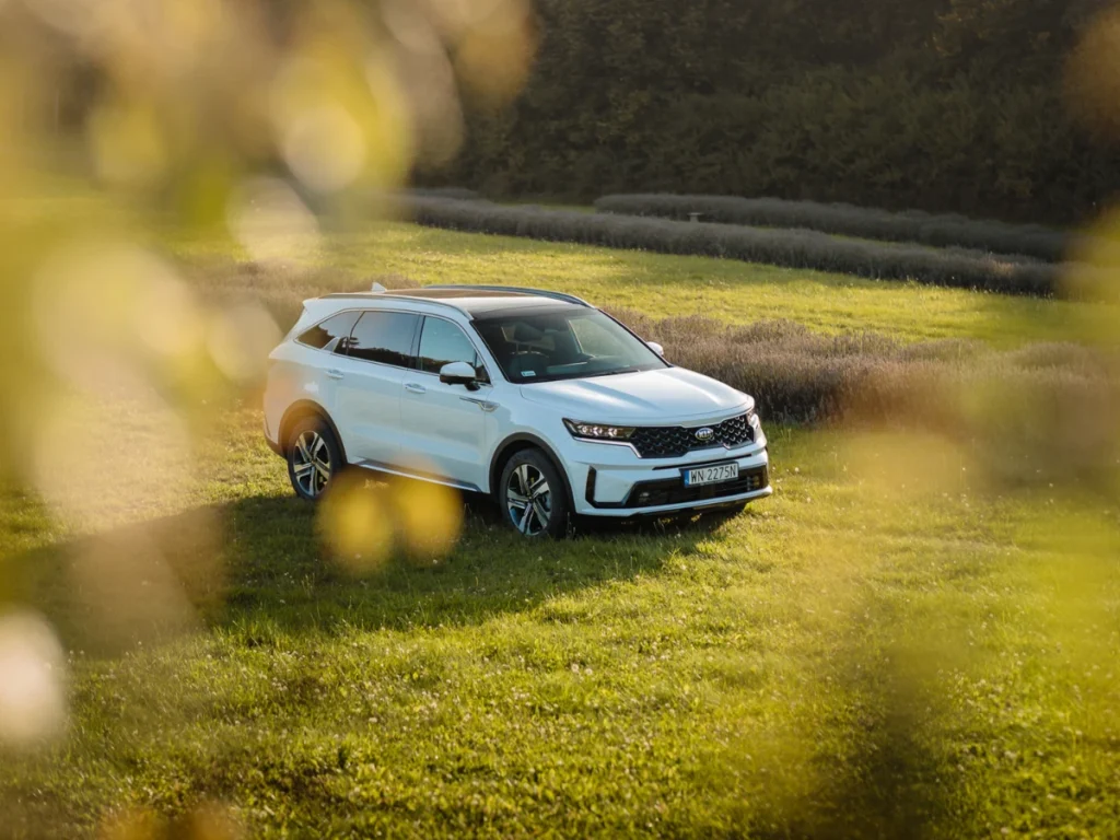 Ekologiczny wynajem samochodu – jak podróżować świadomie z DensCar? Zielona jazda: ekologiczne rozwiązania w wypożyczalni aut DensCar Mniej spalin, więcej komfortu – postaw na ekologiczne auta z wypożyczalni Samochód z wypożyczalni a środowisko – fakty, liczby, porady Wypożycz i chroń planetę – jak DensCar wspiera zrównoważoną mobilność? Ekologia na czterech kołach: czy wynajem auta może być przyjazny środowisku? Zielony wybór w trasie – nowoczesne i ekologiczne auta w DensCar