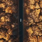 Sprawdzanie trzeźwości przy wynajmie auta